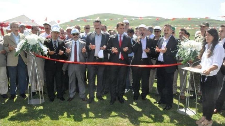Aybastı Beşdam Yaylası'nda Mera A&ccedil;ılış T&ouml;reni