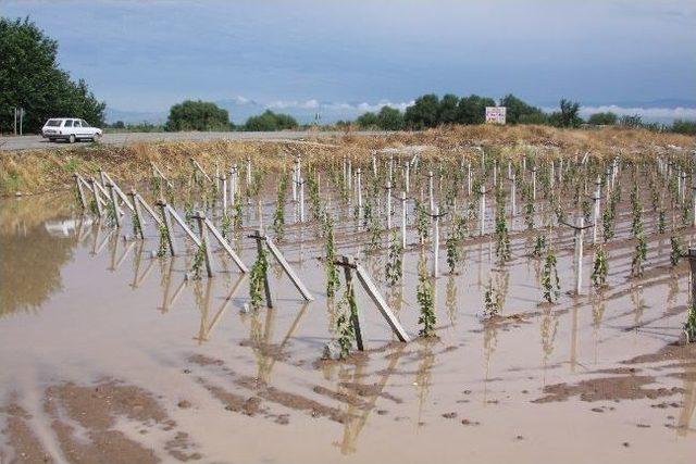 Dolu Ve Sağanak Yağış Tarım Arazilerinde Hasara Yol A&ccedil;tı 1