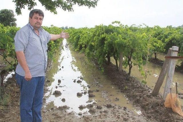 Dolu Ve Sağanak Yağış Tarım Arazilerinde Hasara Yol A&ccedil;tı 2