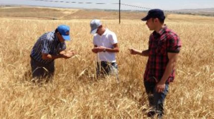 Ereğli&rsquo;de Kımıl Ve S&uuml;neye Ge&ccedil;it Yok