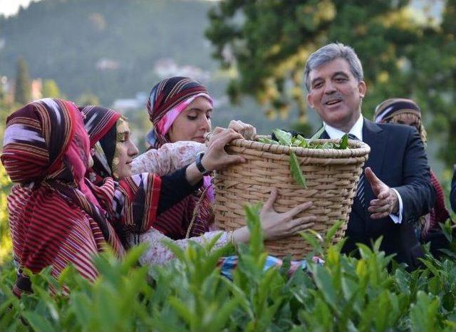 Cumhurbaşkanı Gül, Karadeniz Seyahatinden Fotoğraflar Paylaştı