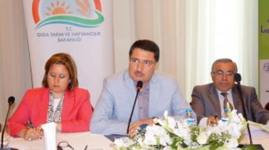 '2 Milyon Hektarlık Tarım Arazileri B&ouml;l&uuml;ne B&ouml;l&uuml;ne Halı Saha Kadar Kaldı'