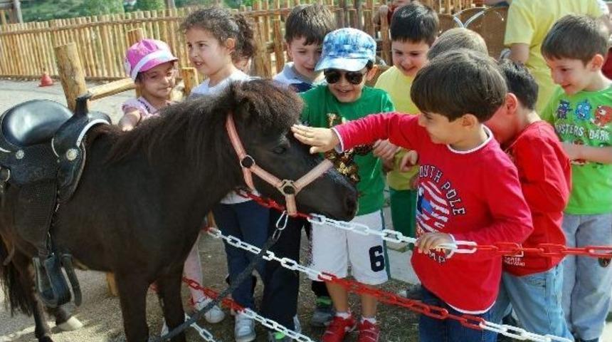 Afyonkarahisar&rsquo;ın En B&uuml;y&uuml;k &Ouml;zel Piknik Alanı Hizmete Girdi