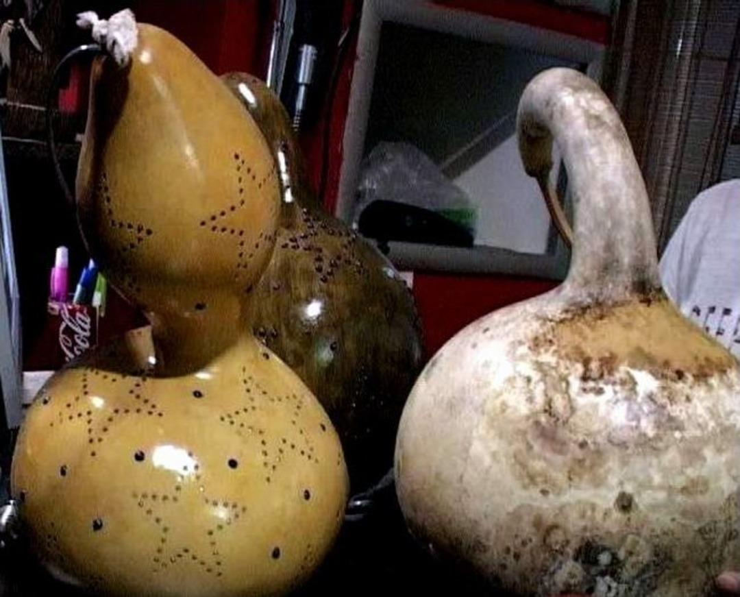 &Ouml;l&uuml; Kabakları Evlerin G&ouml;zdesi Oldu