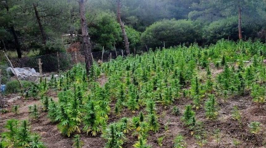 S&ouml;ke'de Uyuşturucu Operasyonu