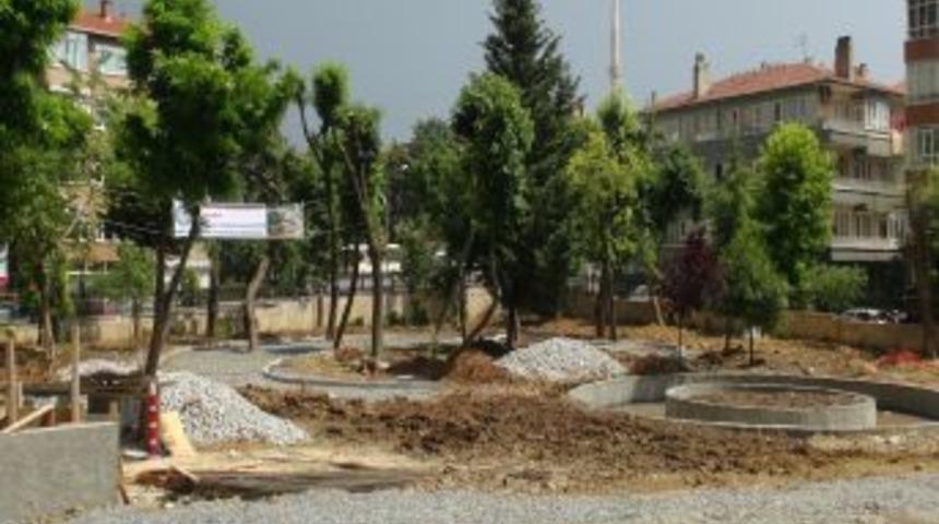 Bakırk&ouml;y Belediyesi'nden R&uuml;zgarın Devirdiği Ağa&ccedil; I&ccedil;in 'biz Kesmedik' Pankartı