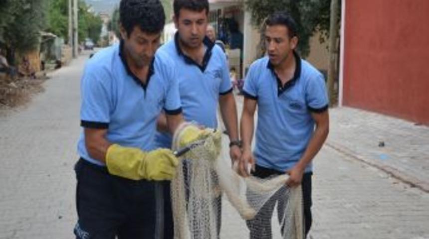 Kayıp Y&uuml;z&uuml;k, Yılanın Boynunda Bulundu