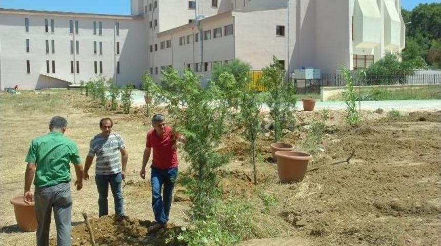 Anadolu Otelcilik Lisesi Bah&ccedil;esi Ağa&ccedil;landırıldı