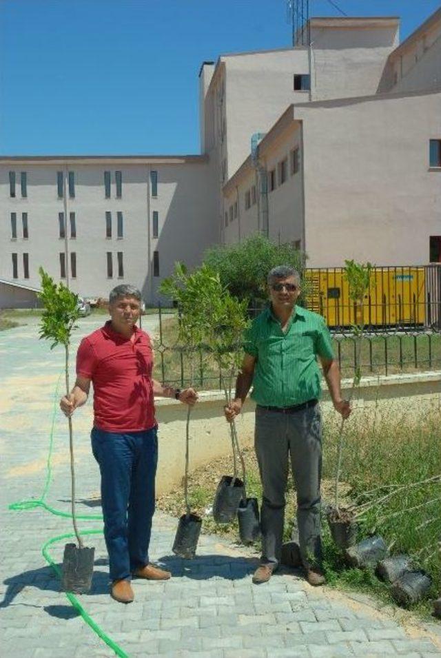Anadolu Otelcilik Lisesi Bah&ccedil;esi Ağa&ccedil;landırıldı 1