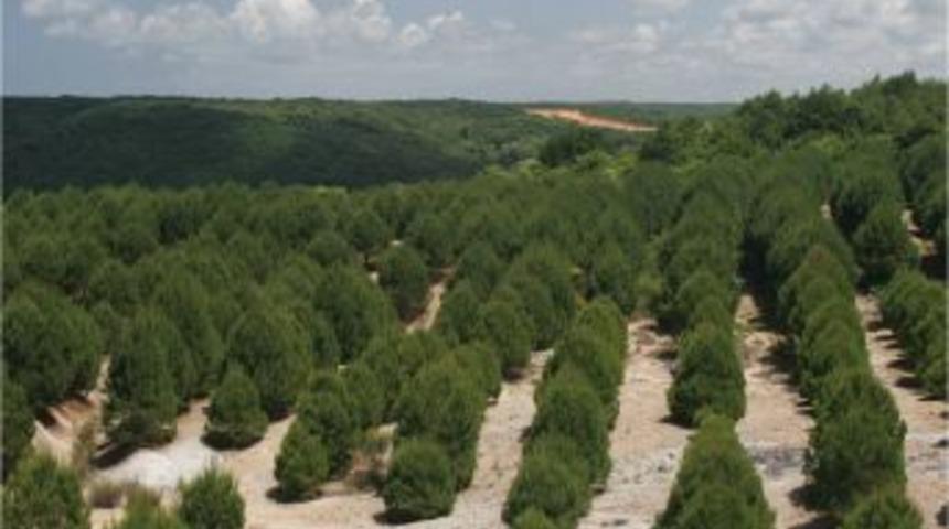 Bakan Eroğlu'dan &Ccedil;&ouml;lleşme Uyarısı