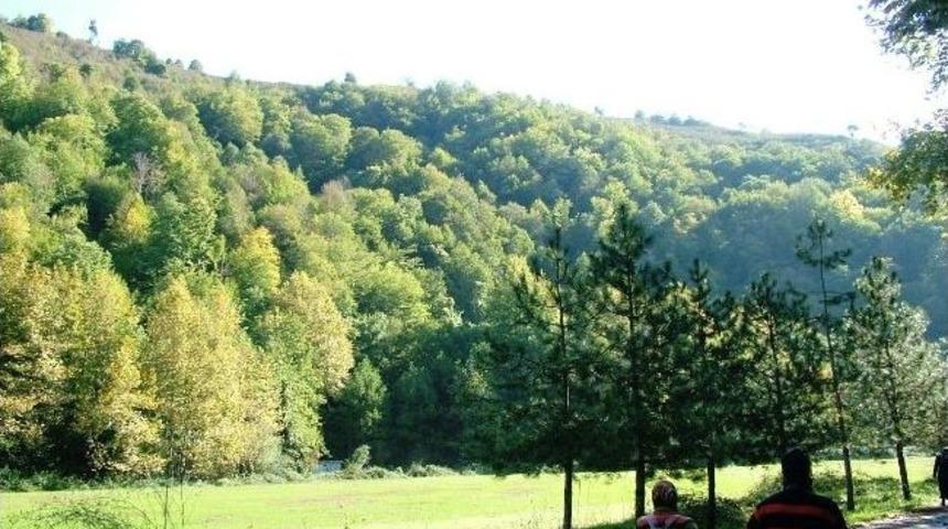 Ormanların Tapusunun Alınması Seferberliği Sonu&ccedil; Verdi