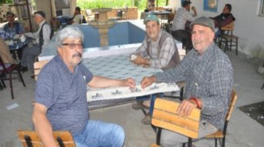 Torbalı'yı Fareler Bastı