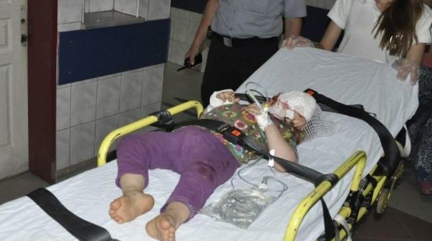 K&ouml;peğin Saldırısına Uğrayan K&uuml;&ccedil;&uuml;k Kız Ağır Yaralandı