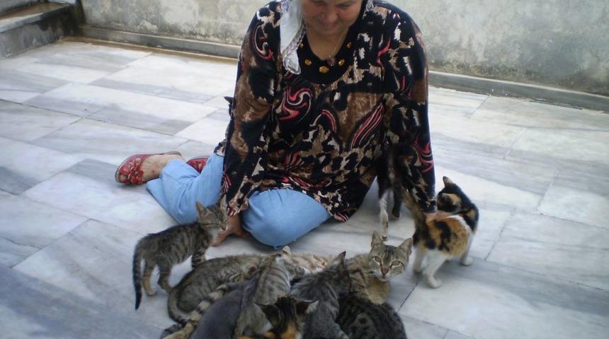 Tekir Sokaktaki B&uuml;t&uuml;n &Ouml;ks&uuml;z Yavru Kedileri Sahiplenip Emziriyor