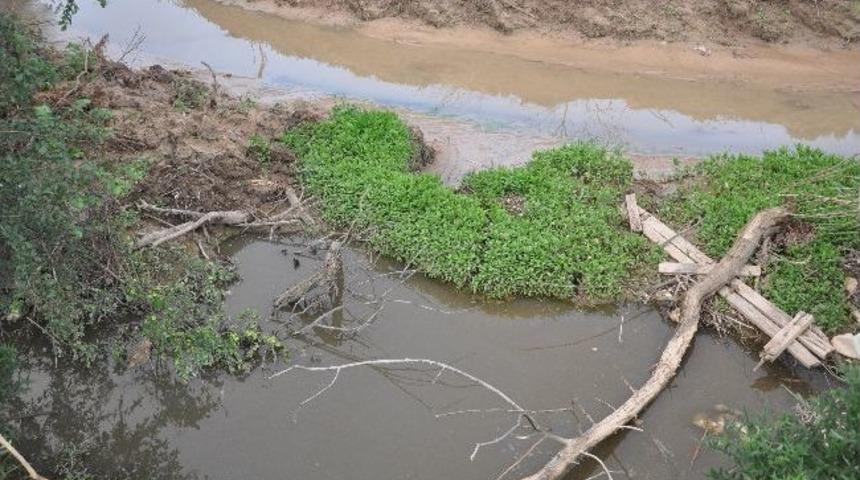 Kimyasal Atıklar Dereyi Kirletiyor İddiası