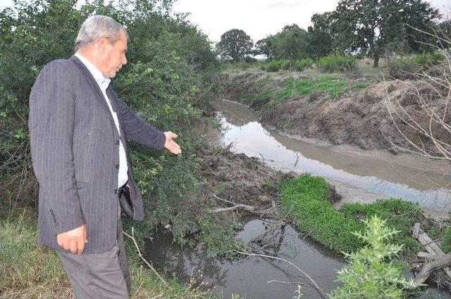 Kimyasal Atıklar Dereyi Kirletiyor İddiası