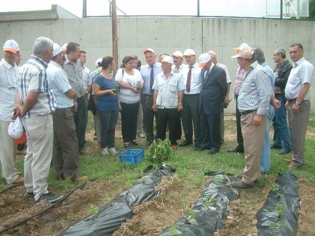 Burhaniye’de Toprak Bayramı Çiftçileri Buluşturdu