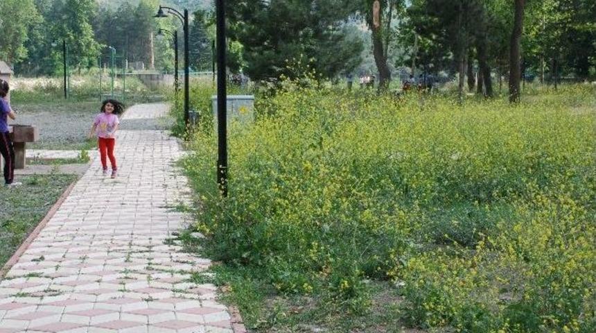 G&uuml;menek Parkı İlgi Bekliyor