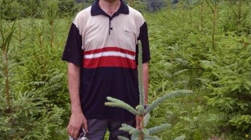 Emekli İkramiyesiyle Aldığı Fidanlardan 150 Bin Lira Kazanmayı Hedefliyor