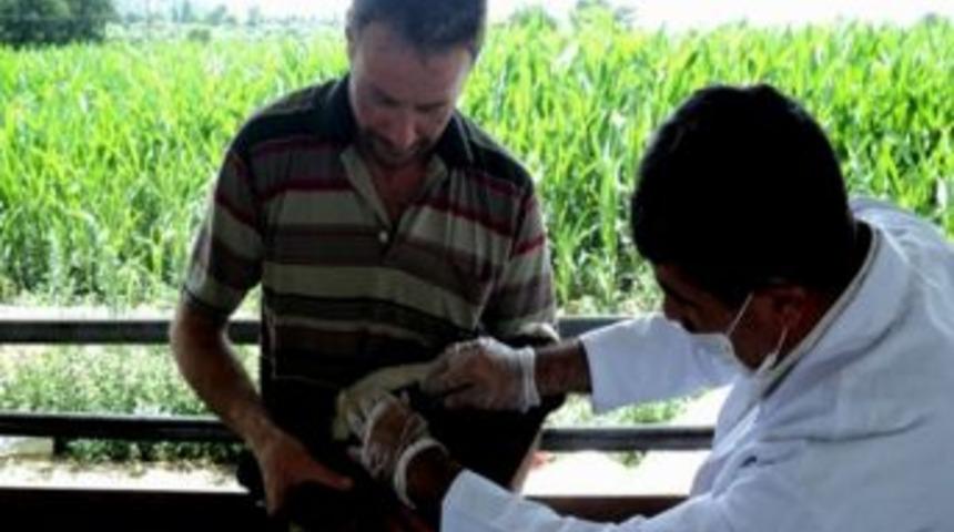 Trakya&rsquo;ya Yapılacak Canlı Hayvan Sevklerine Dikkat