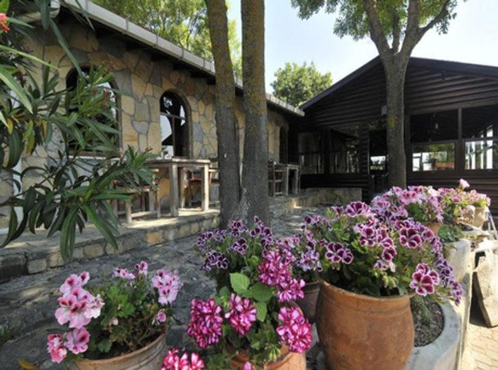 İstanbul'a yakın tatil yerleri