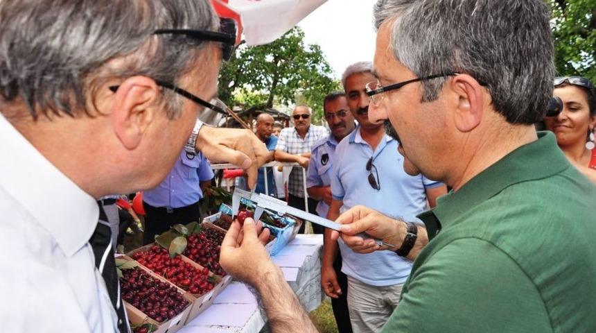 Kiraz Birinciliği I&ccedil;in Yarıştılar