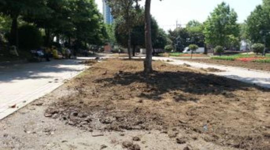 Gezi Parkı'na Yeşil Takviyesi