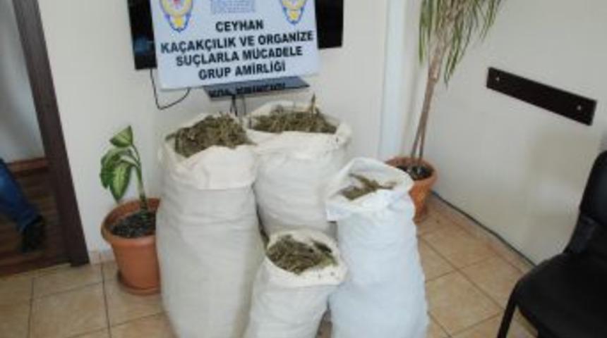 Ceyhan&rsquo;da 37 Kilogram Esrar Ele Ge&ccedil;irildi