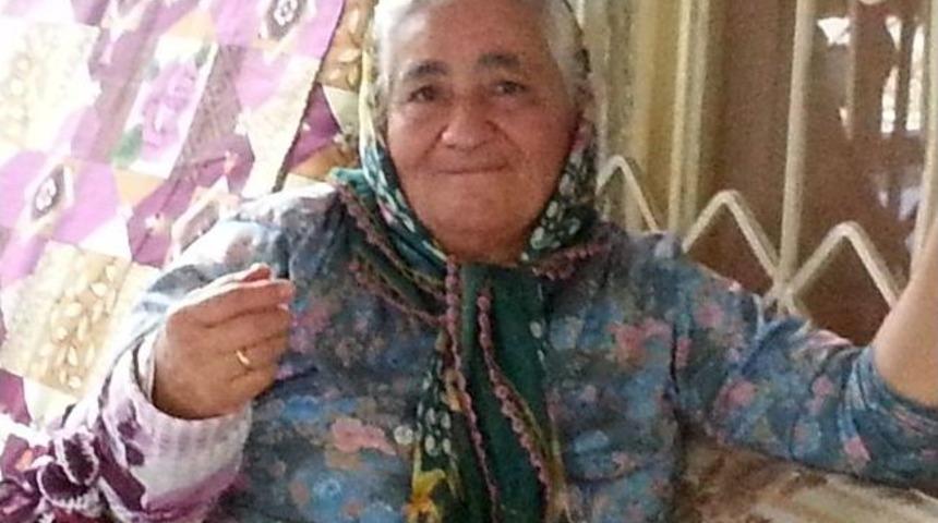 Kangal K&ouml;peği Yaşlı Kadını Hastanelik Etti