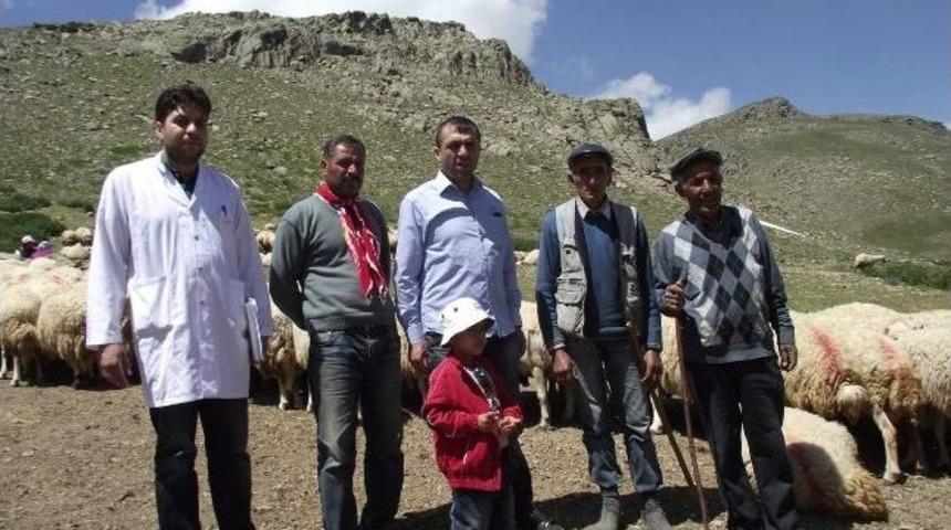 &Uuml;reticiye Yardım Ama&ccedil;lı Kuzu Tartımı Yapıldı