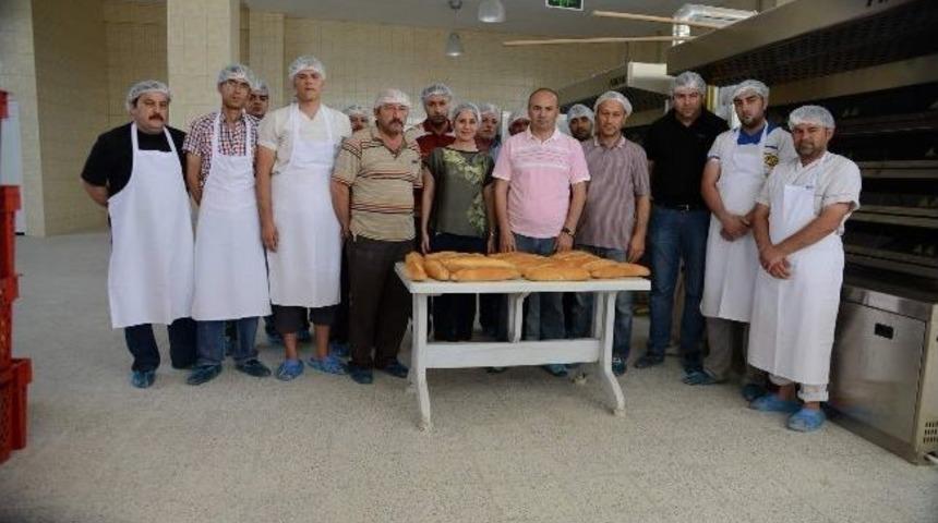 Halk Ekmek Fabrikasında Deneme &Uuml;retimi Başladı