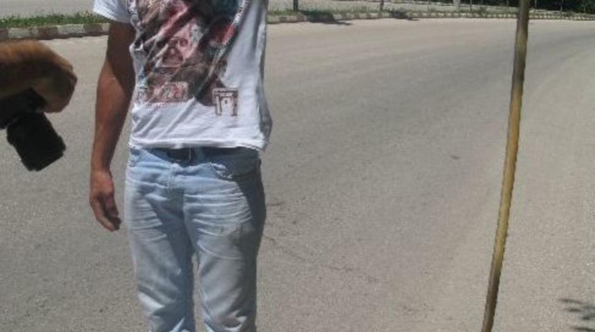 Yılan Korkusu Kaza Yaptırdı
