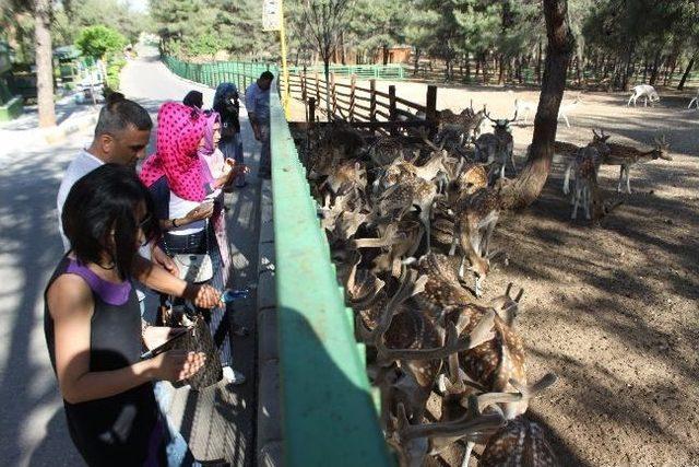 Önce Tekne Turu Yaptılar, Sonra Hayvanat Bahçesini Gezdiler