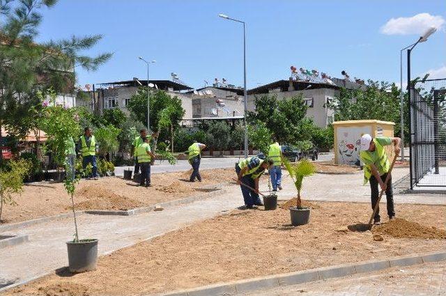 Nazilli'de Üst Yapı Çalışmaları