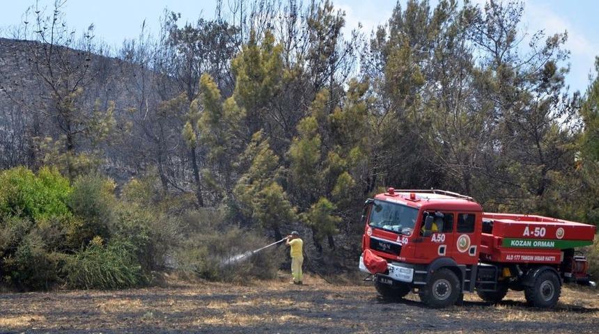Anız Ateşi Orman Yangınına Neden Oldu