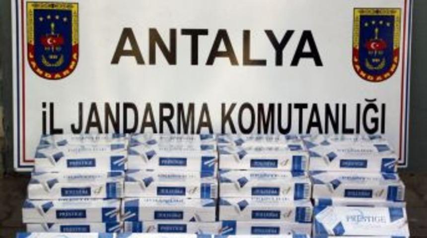 Jandarma, Manavgat'ta Bin 340 Paket Ka&ccedil;ak Sigara Ele Ge&ccedil;irdi