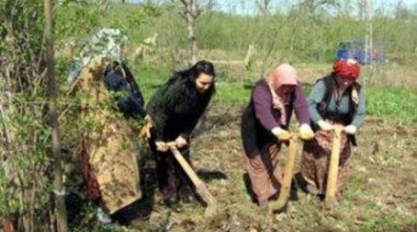 156 Kadın Kursiyer Belge Aldı