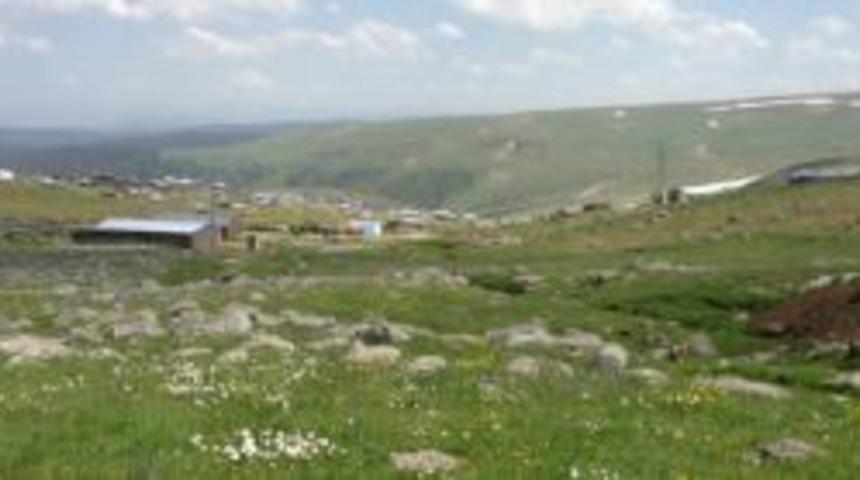 Ardahan'da yayla yolları dozer bekliyor
