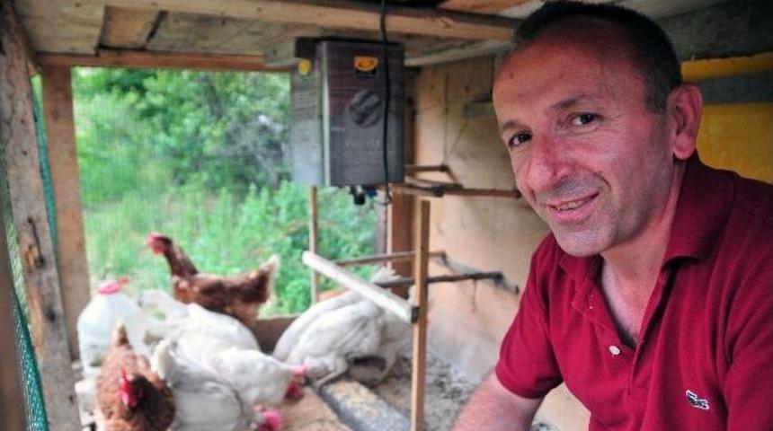 Akıllı Ev Olmayan Şehirde Akıllı K&uuml;mes Yaptı
