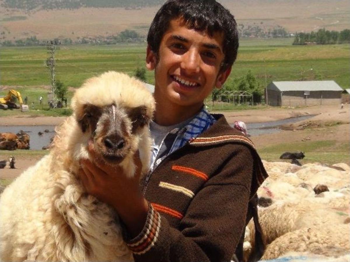 Sıcaklardan Etkilenen Hayvanlar, G&ouml;l Suyunda Serinletiliyorlar