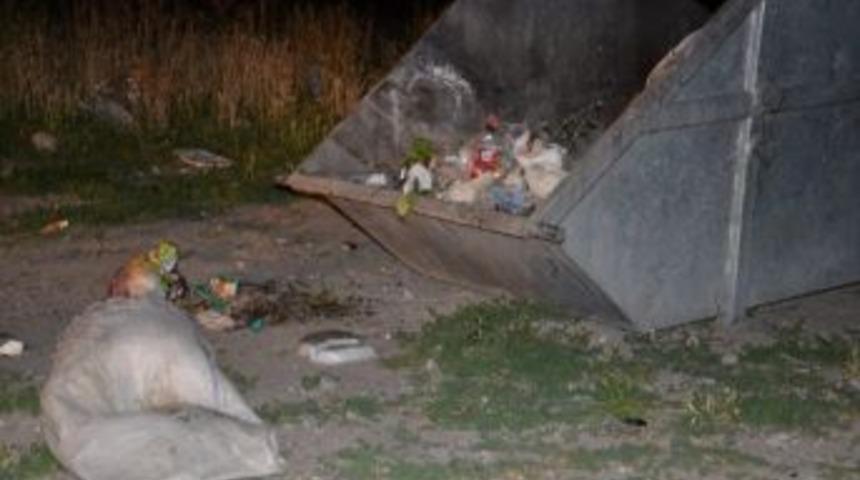 Maydonoz Bahçesine Yatan Köpeği Vurdu