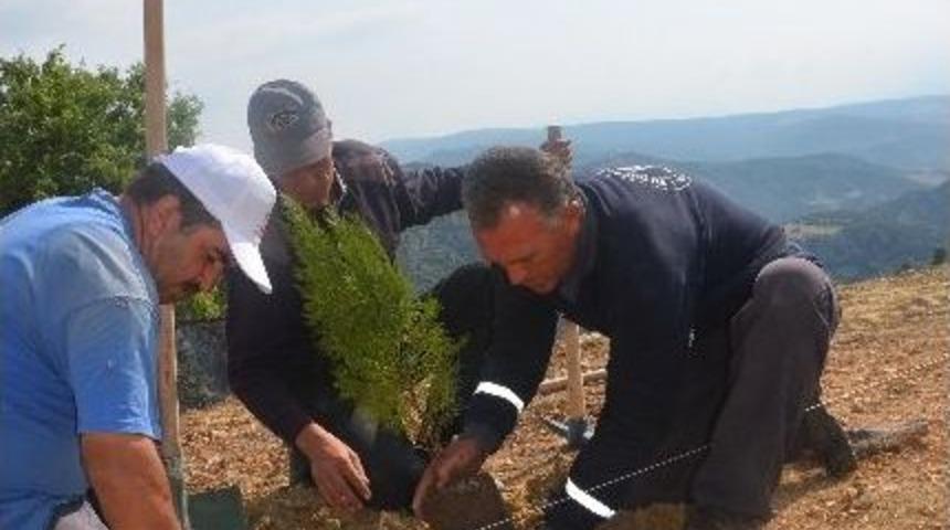 Bilecik Şehir Mezarlığı Girişine Otopark Ve Fidan Dikimi