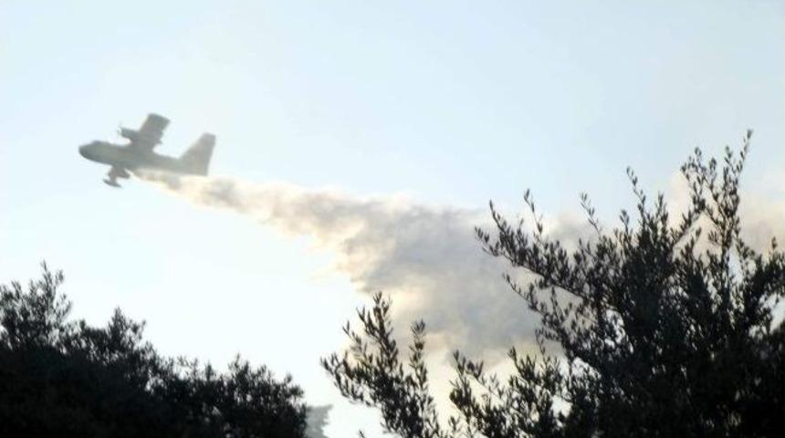 Aydın&rsquo;da Orman Yangını