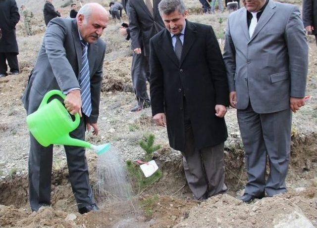 Türkiye'nin En Büyük Ağaçlandırma Projesi Bayburt’ta Gerçekleşiyor