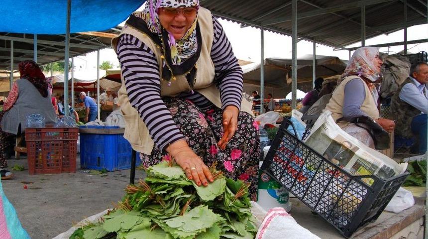 Ge&ccedil;imlerini Asma Yaprağından Sağlıyorlar