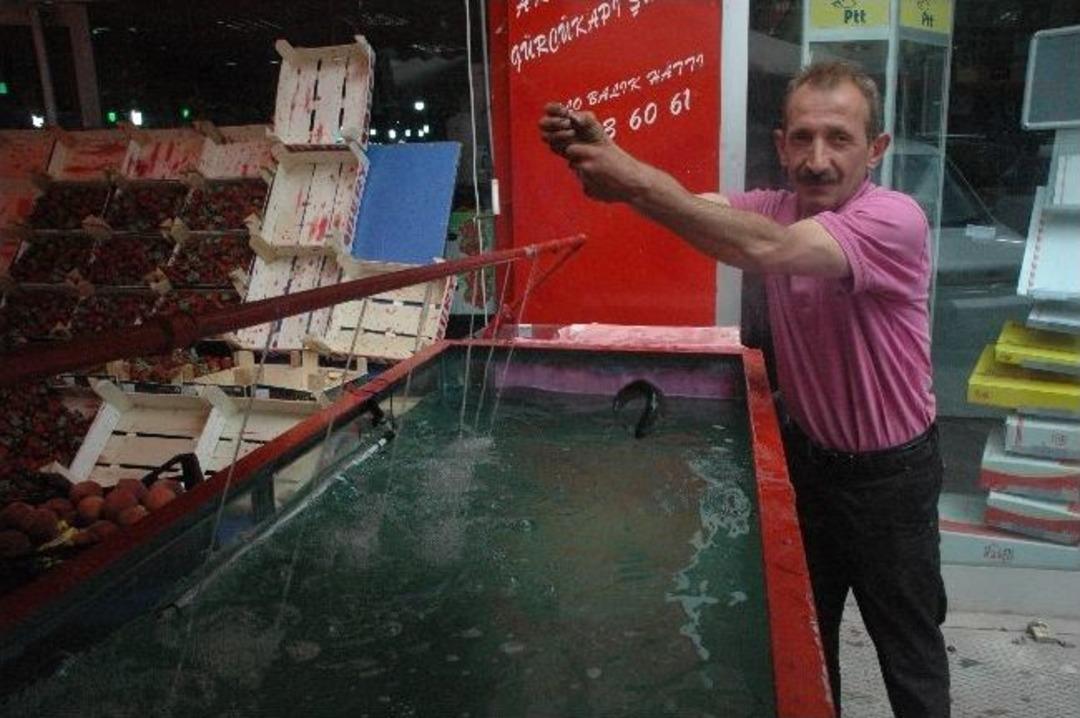 Keban Barajından Gelen Canlı Alabalıkları Taze Satabilmek İ&ccedil;in Akvaryum Yaptırdı
