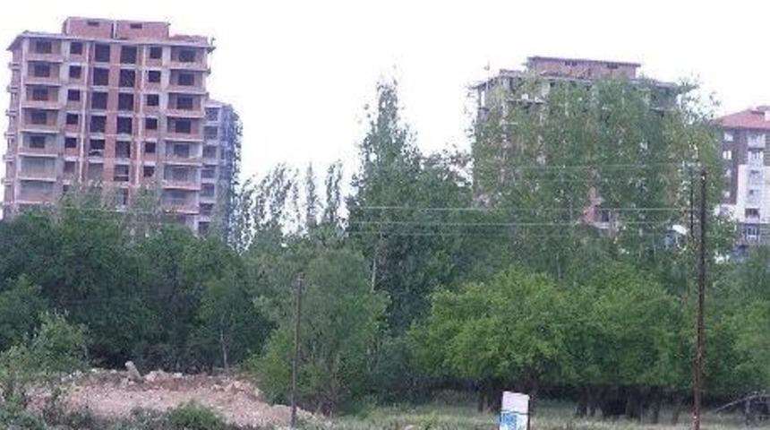 Bakanlık, Ağa&ccedil; Katliamına &lsquo;dur&rsquo; Dedi