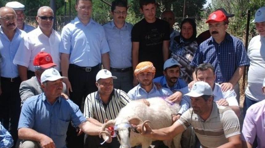 &Ccedil;ivril&rsquo;de &Uuml;reticiye Hayvan Desteği