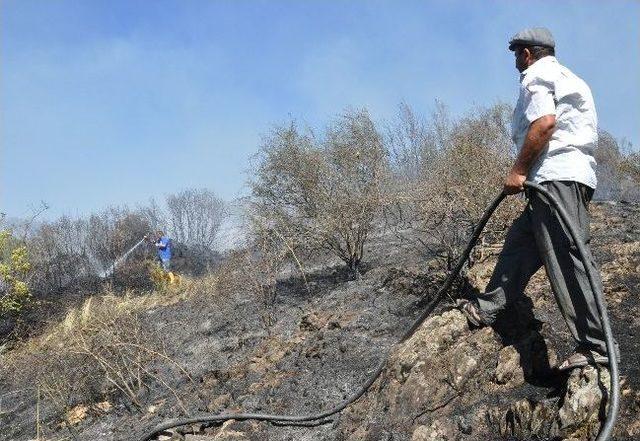 Alanya da Makilik Alanda Yangın 1