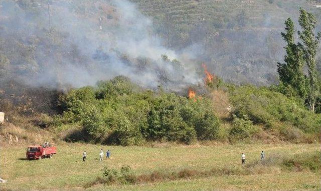 Alanya da Makilik Alanda Yangın 2